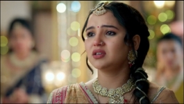 Vasudha - 20th November 2025